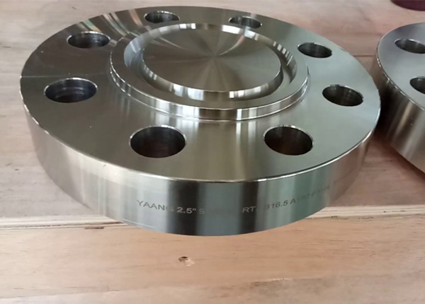 Stainless Steel 317 Ring Type Joint Flanges