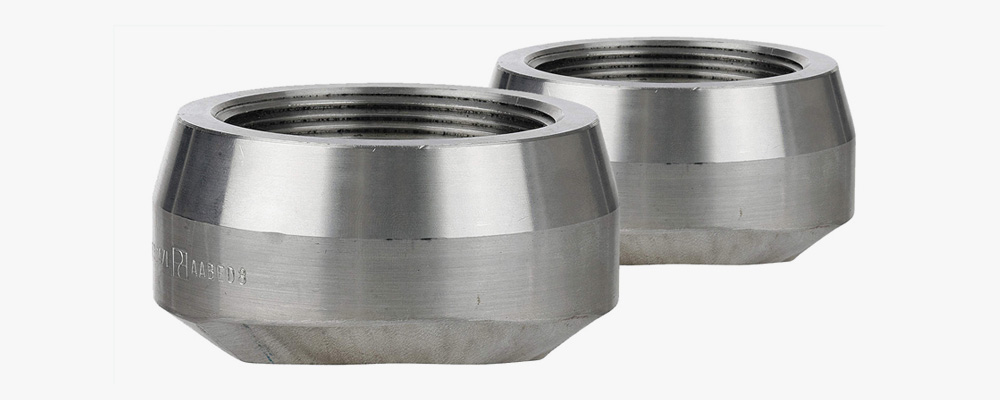 Stainless Steel 304L Olets